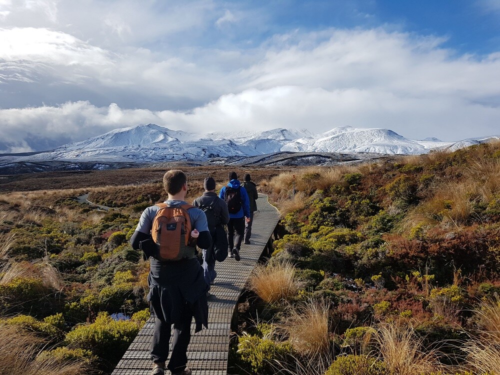 Dein Neuseeland Abenteuer mit AIFS