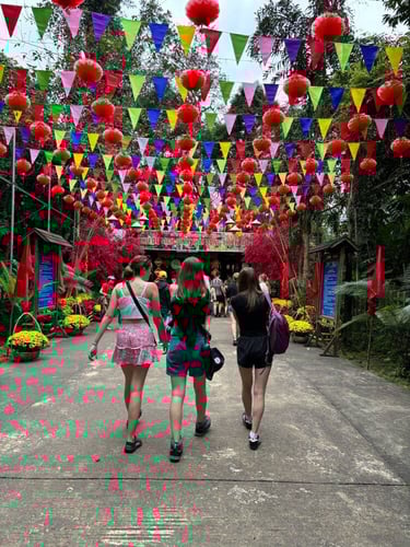 Erlebe Vietnam beim Adventure Trip mit AIFS
