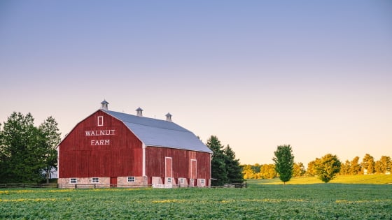aifs-farm-work-and-travel-kanada-barn-scheune