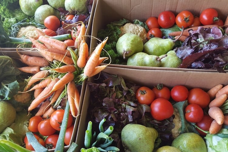 Ernte Obst und Gemüse auf einer Farm in Südafrika mit AIFS