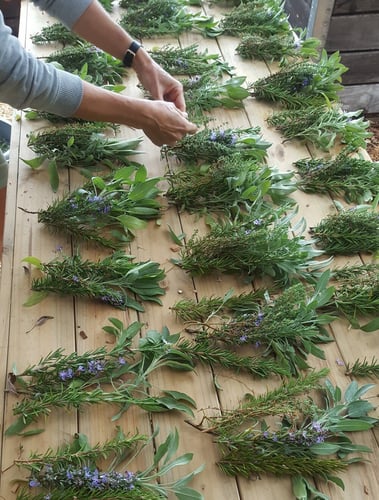 Ernte Kräuter auf einer Farm in Südafrika mit AIFS