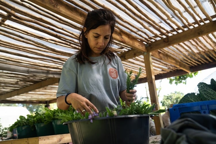 Arbeite auf einer Farm in Südafrika mit AIFS