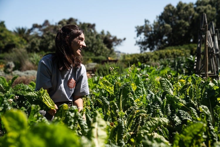 Farmleben in Südafrika mit AIFS