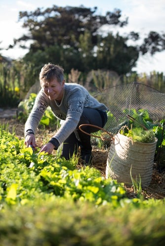 Arbeite auf einer Urban Farm in Südafrika mit AIFS