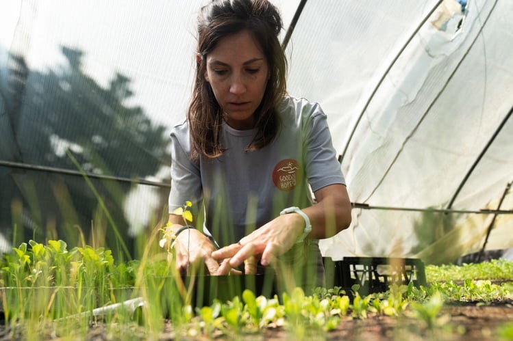 Farmarbeit in Südafrika mit AIFS