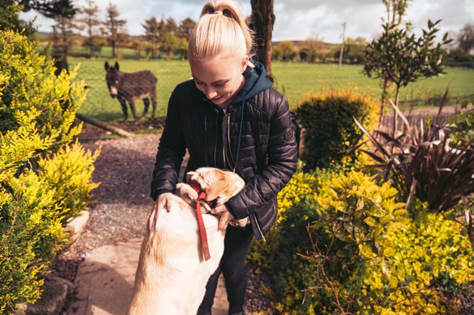 aifs-irland-farmwork-person-tier-hund-esel