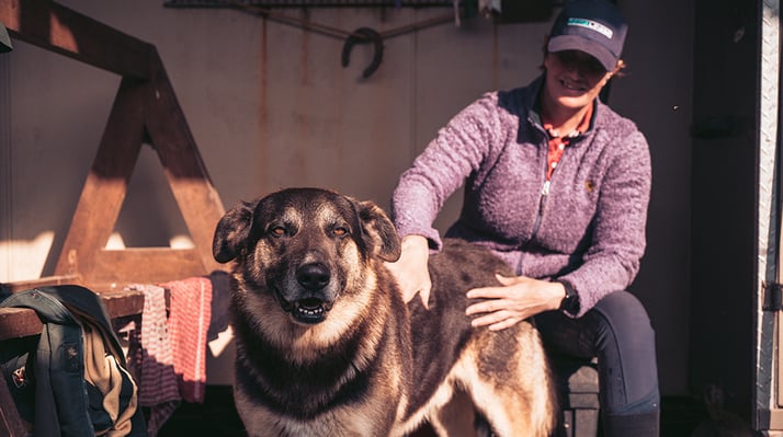 aifs-irland-ranchwork-person-hund