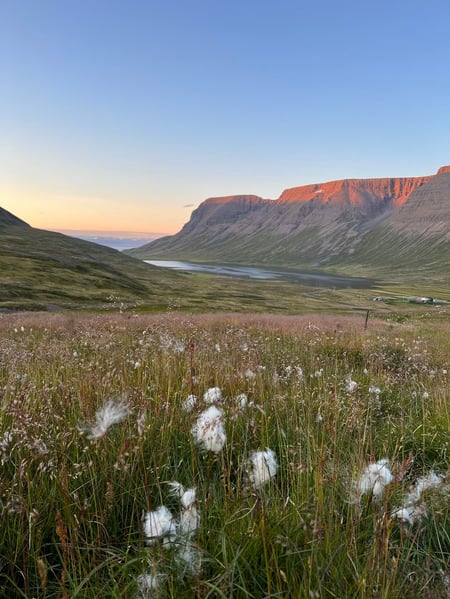 aifs-island-landschaft-berge-wiese