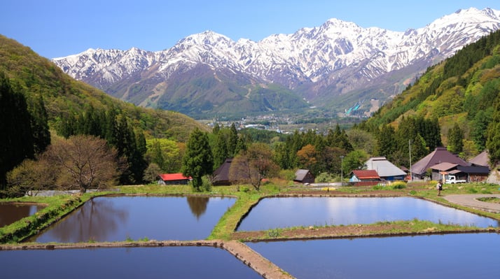 aifs-japan-farmwork-and-travel-feld-berge