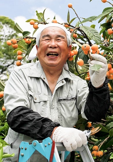 Entdecke Japan mit AIFS: Erlebe die Faszination von Farmarbeit, tauche ein in die Natur und hilf bei ertragreiche Ernten.