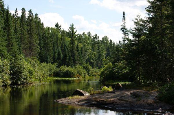 Schüleraustausch in Upper Canada