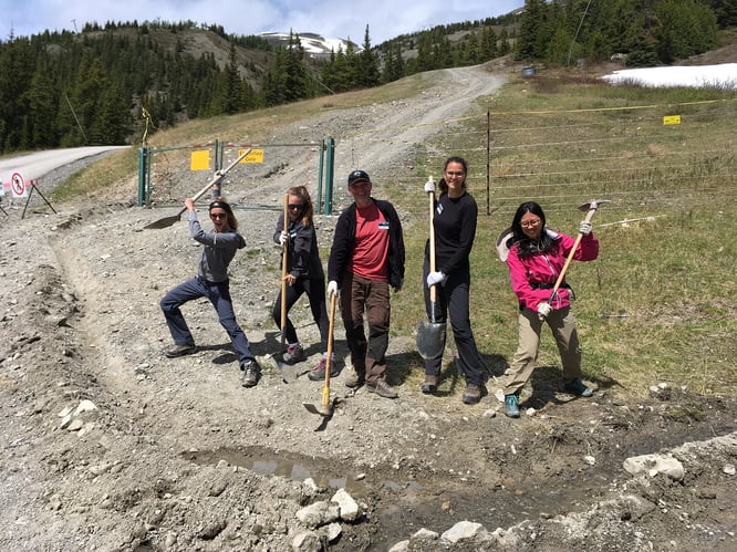 aifs-kanada-freiwilligenarbeit-lake-louise-personen-bauarbeit