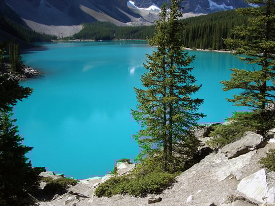 aifs-kanada-see-tanne-landschaft-program-carousel-668x1000