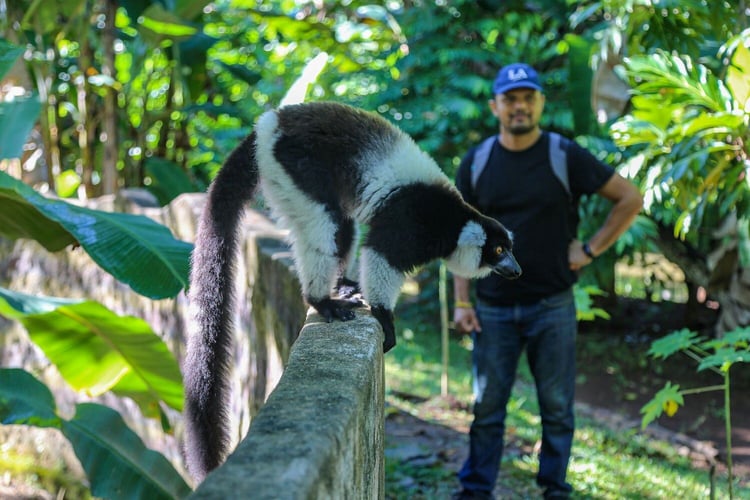 Freiwilligenarbeit in Madagaskar mit AIFS