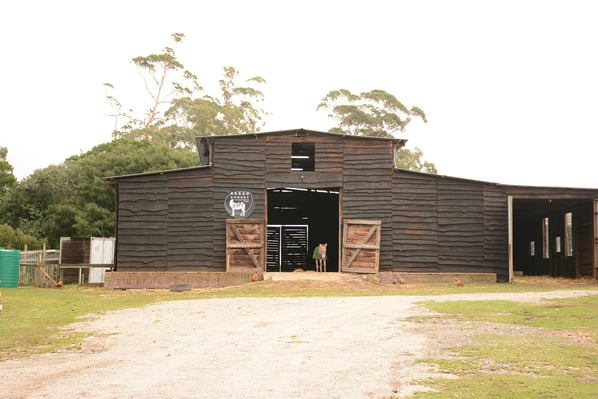 aifs-südafrika-farmwork-gnadenhof-scheune