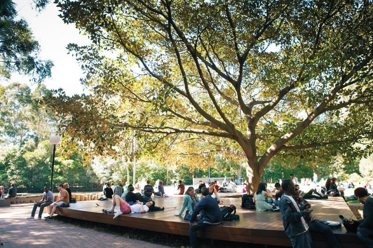 Park an der Universität in Wollongong in Australien beim Auslandsstudium mit AIFS