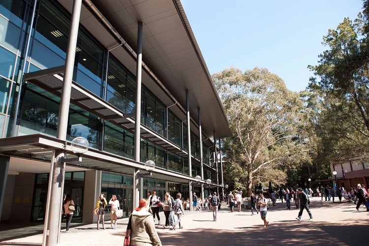 Studieren an der Wollongong Universität in Australien