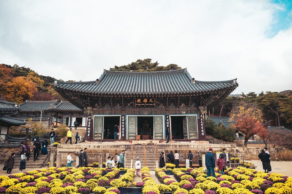 Freiwilligenarbeit in Südkorea Seoul
