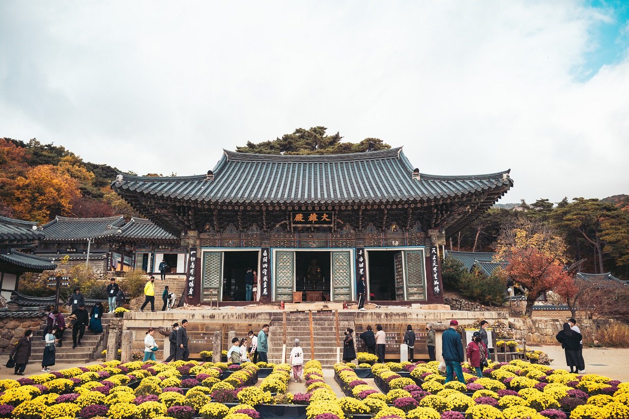 Adventure Trips in Südkorea mit AIFS
