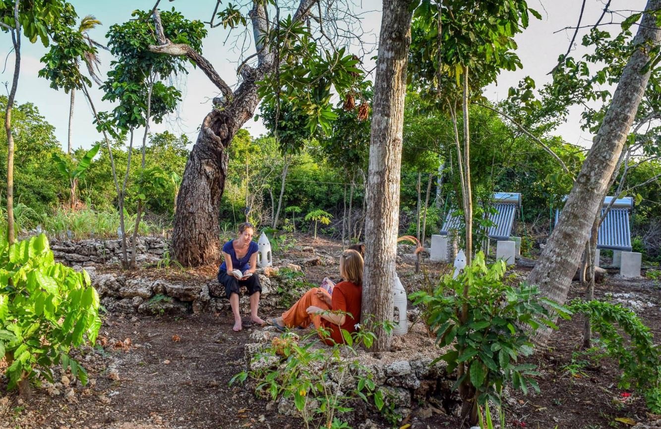 aifs-tansania-sansibar-freiwillligenarbeit-unterkunft-personen-garten (2)