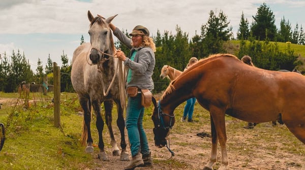 aifs_neuseeland_Ranchwork and Travel-person-pferde