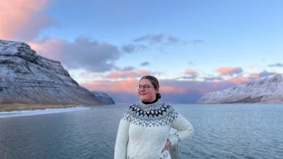 au-pair-island-560x315