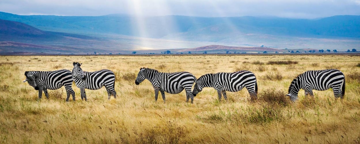 csm_Headerbild_Adventure_Trip_Tansania_2_9a0a46c112