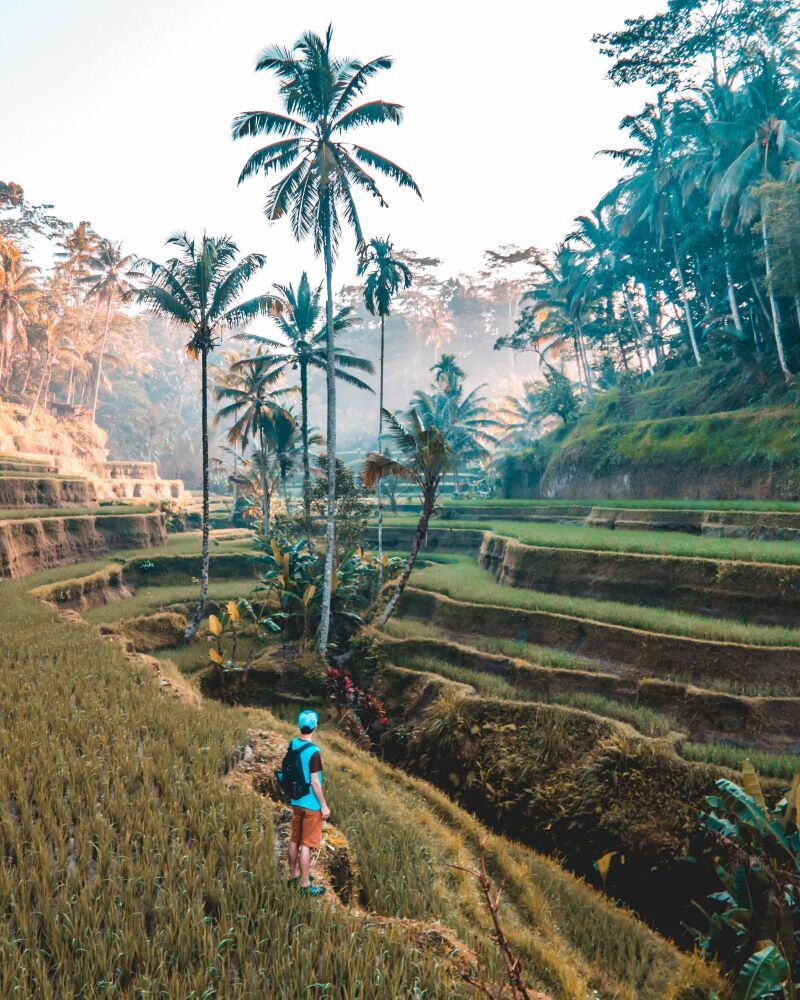 Weitere Reisen in Indonesien bei unserer Travel Brand globerocker