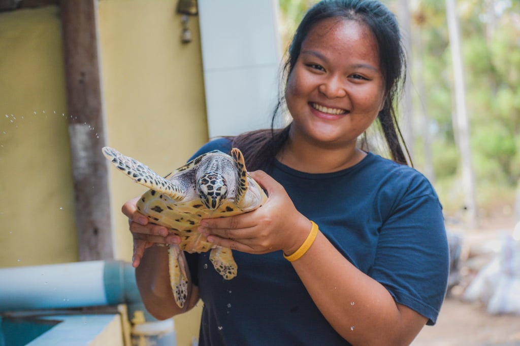 AIFS Freiwilligenarbeit Bali: Engagiere dich in der Schildkrötenwoche – Entdecke mit AIFS intensiv und authentisch die faszinierende Natur Balis.