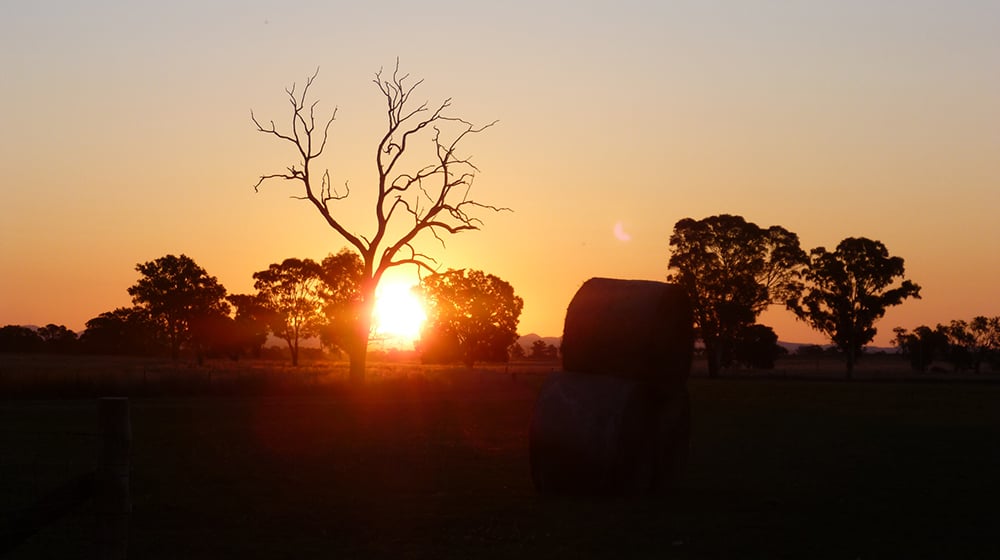 aifs-australien-ranchwork-ranch-sonnenuntergang