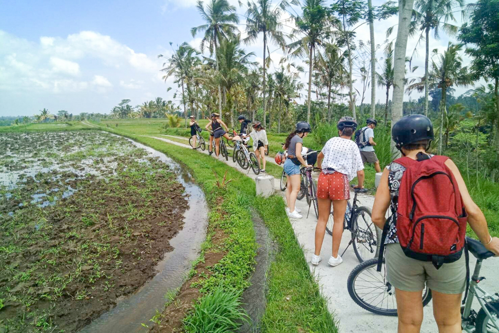 aifs-bali-adventure-week_cycling in Ubud-5