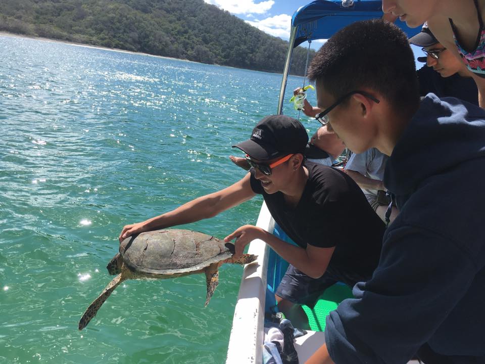 aifs-studieren in costa rica-personen-schildkröte-boot